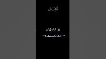 سورة الأنفال الآية 59 الشيخ اللحيدان #quran #guidance #قرآن #الدوسري #اللحيدان #حالات_واتس #لايك