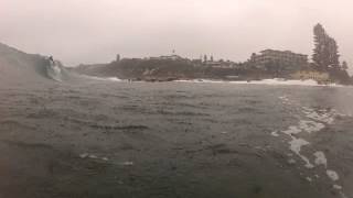 Dee why point 2013