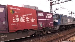 【レアコン積載！！】EF210-173[新]牽引　貨物列車1057レ　【HD】2015.03.25