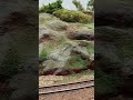 passage vb2n jouef