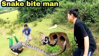 4 men surrounded the world's largest giant king cobra nest in an abandoned cellar