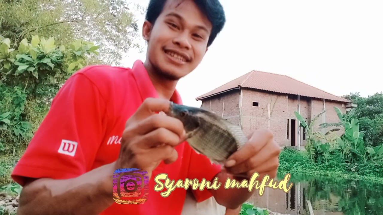 undlupnya nila babon bikin sangek 😂