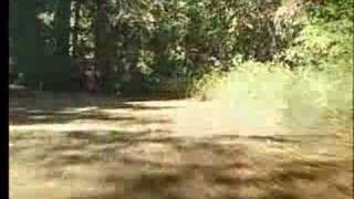 Redwood Regional Park