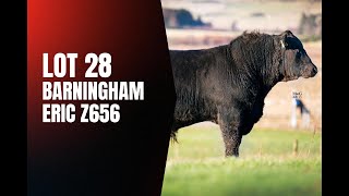 Lot 28 Barningham Eric Z656