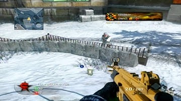 Black Ops Glitch: Dog Barrier on Array
