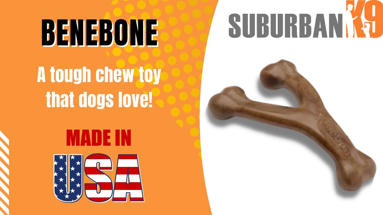 Busy Buddy Bouncy Bone Treat Dispenser Tough Dog Chew Toy, Medium