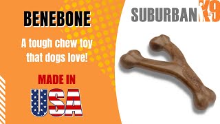 Dog Trainer Reviews: Benebone