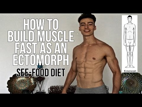 How To Build MUSCLE FAST As An Ectomorph - See-Food Diet How To Build MUSCLE FAST As An Ectomorph - See-Food Diet