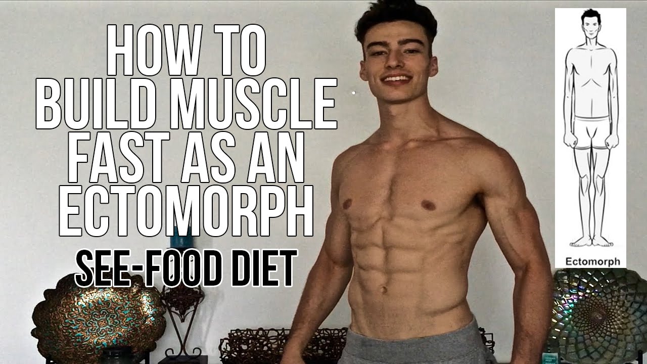 how to diet properly to build muscle