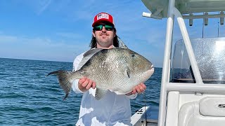 Fishing ARTIFICIAL REEFS For GIANT GRAY TRIGGERFISH | A PB WAS BROKE