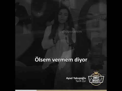 Aysel Yakupoğlu- Tarifi Zor