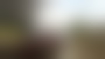 Best Fails of the Week 4 July 2013    FailArmy