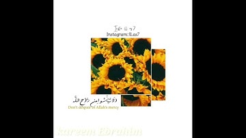 سورة الغاشية كاملة 🌻💛..