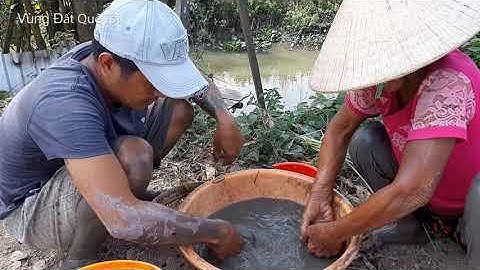 Ốc Bươu Xào Sả Ớt Siêu Cay Bữa Cơm Trưa Của Linh Và Cô Út | Vùng Đất Quê Tôi | T.07