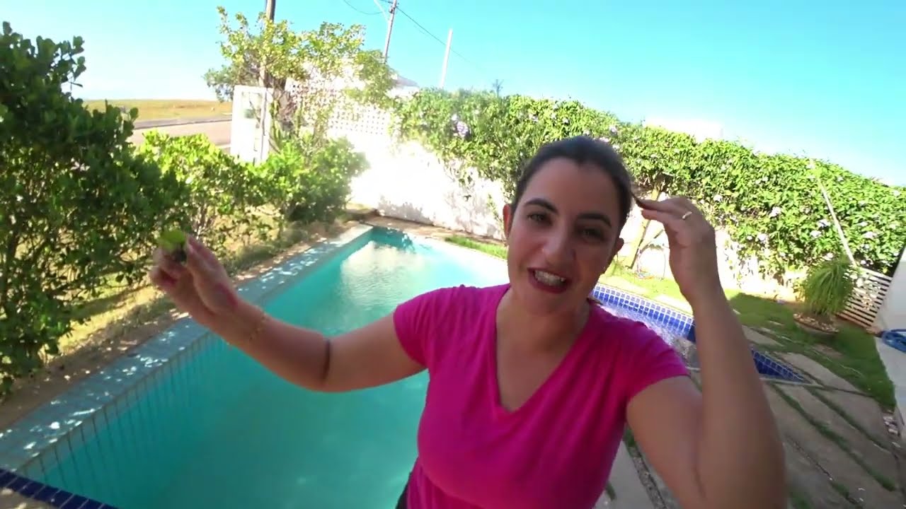 tomei-banho-de-piscina-com-bichos-horr-veis-dentro-uma-aranha-e-um
