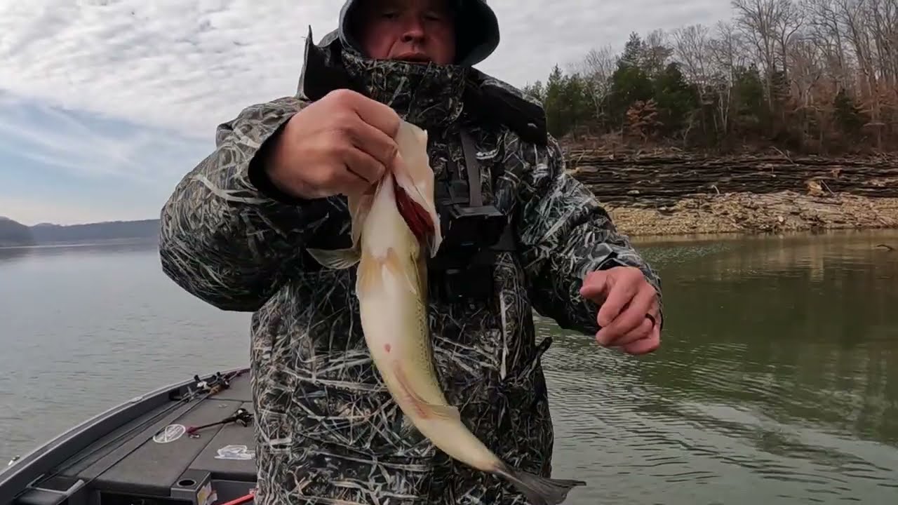 Grinding them out. Lake Cumberland Bass Fishing December 13th