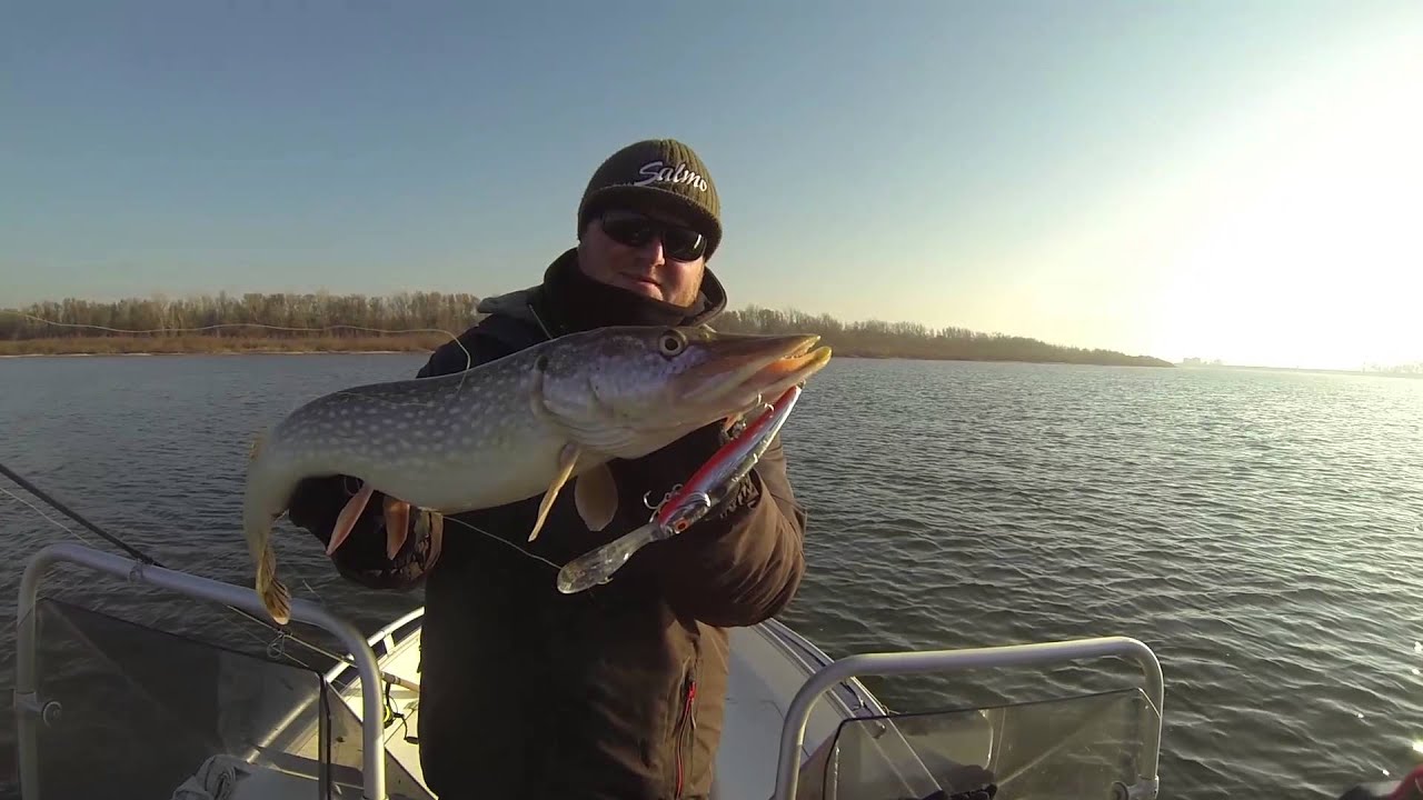 SALMO FREEDIVER 12SDR – плавающий глубинный кренкбейт с уникальными особенностями.