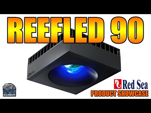 Red Sea's New ReefLED 90 Aquarium Light - Product Review Showcase