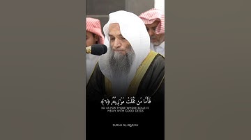 فضيلة الشيخ أ.د. فيصل غزاوي || فهو في عيشة راضية || سورة القارعة