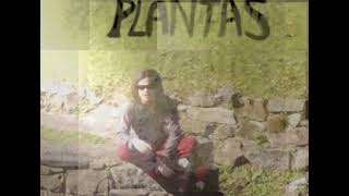 Video thumbnail of "PLANTAS  ☘  - MAURI GONZALEZ"