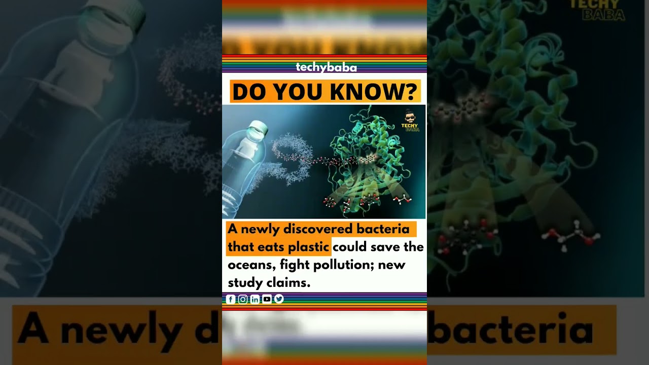 DO YOU KNOW? Scientists Found a bacteria that eats plastic could save