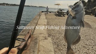 Saltwater fishing for Scup (Porgy) 🐟🎣
