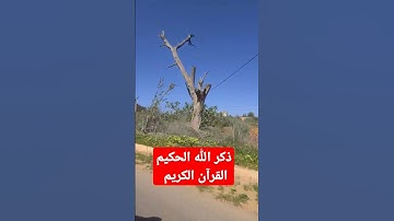 القرآن #challenge #البخل سورة #دويتو #تيك_توك #الورقات #اكسبلور #jumagreenscreen #لايك #الظروف