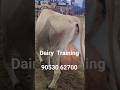 Artificial Insemination | pregnancy diagnosis | dairy training | Dangar doctor | ai Maitri course |
