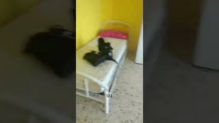 Жилье в Италии: как живут студенты из Казахстана