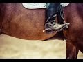 Faded  || Equestrian Music Video ||