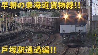 2019/08/31 [貨物列車] 早朝の東海道貨物線を行き交う貨物列車たち!! 戸塚駅通過編!!