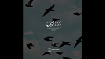 تلاوة مؤثرة من سورة النساء| القارئ رعد الكردي🌼❤️|Raad Al Kurdy