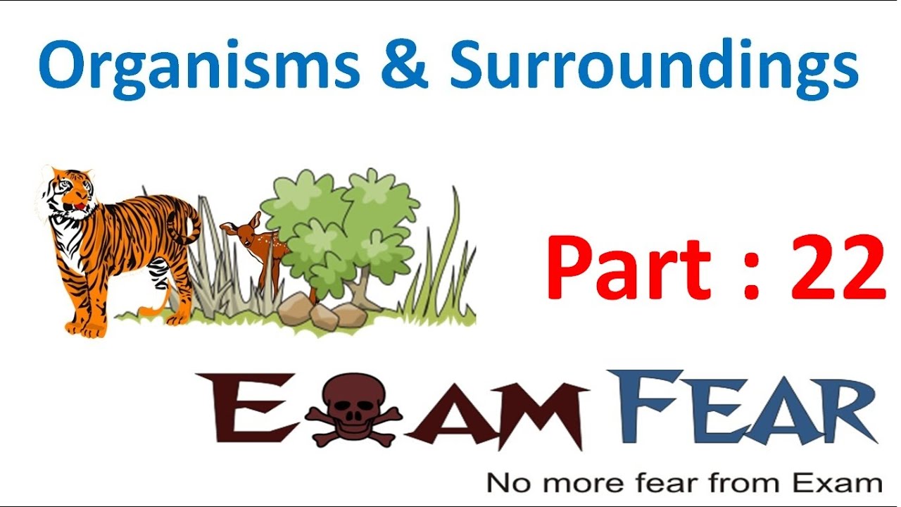 biology-organisms-their-surroundings-part-22-living-organisms