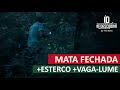 Pegando Esterco na Floresta + Andando na Mata Fechada + Vaga-lume - Ir e Descobrir