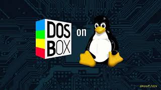 DOSBOX linux appliance 2026 - i386-i686-x64