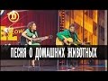 Песня о домашних животных — Дизель Шоу — выпуск 4, 11.12