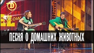 Песня о домашних животных — Дизель Шоу — выпуск 4, 11.12