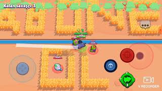 Polisin Numarası 31D