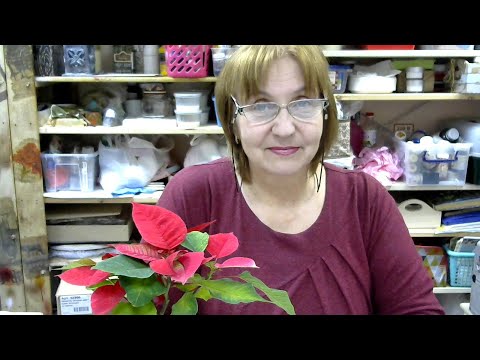 Сказочный ларец. Вакула Галина. часть4. 24.12.18