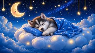White Noise for Newborns 1 Hour – Peaceful Sleep & Gentle Lullaby
