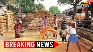 Exclusive-India may extend wheat export ban to preserve local supplies - govt sources