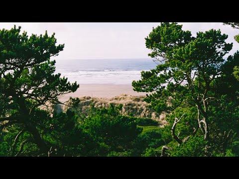 Coast Trip