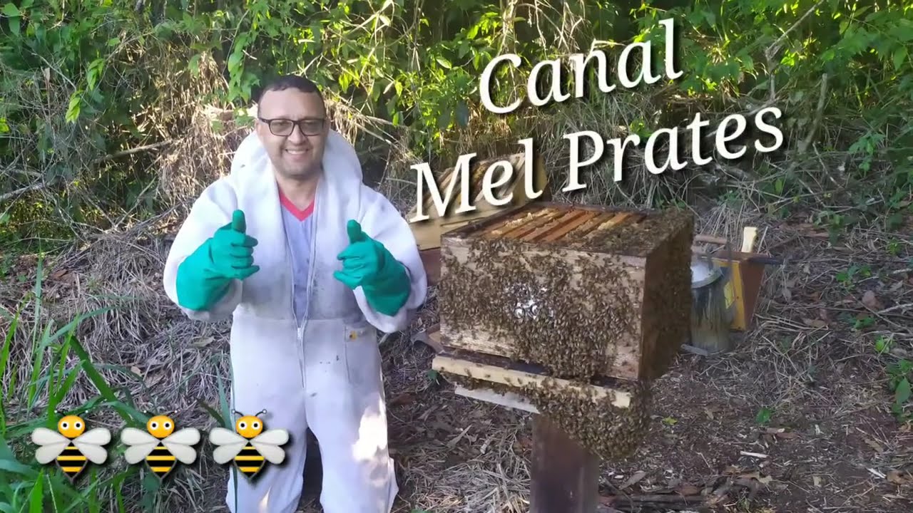 Construção da casa de extração de mel, 🍯,# 3, primeira colheita,🙏🐝🍯
