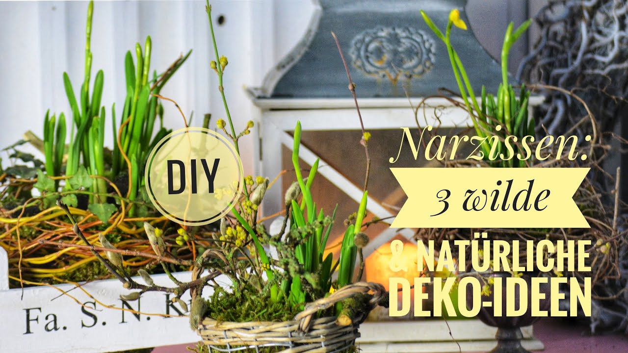 DIY: 3 wilde & natürliche DEKO-IDEEN mit NARZISSEN