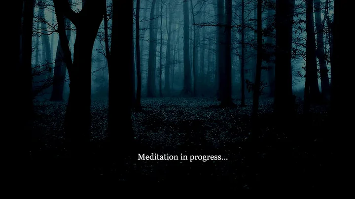 Free the Past, Heal the Future : A Meditation for ...