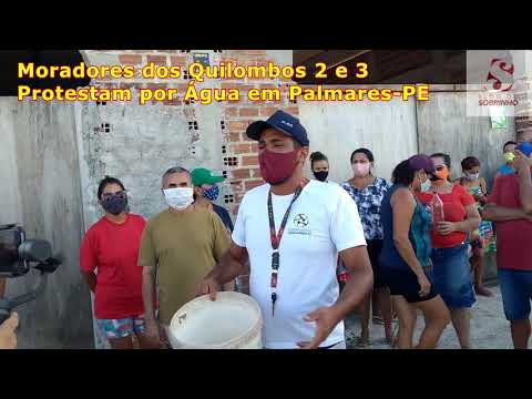Moradores dos Quilombos 2 e 3 protestam por água em Palmares-PE
