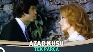 Azad Kuşu | Hülya Koçyiğit, Tarık Akan Filmi