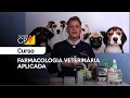 Farmacologia Veterinária Aplicada l Cursos CPT