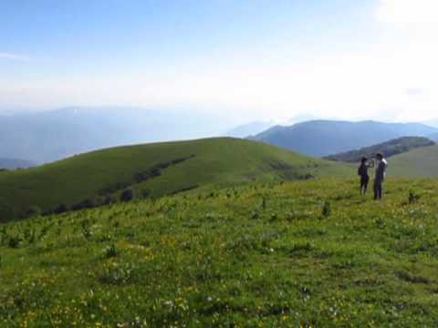 ლომის მთა (ბორჯომი)