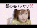 髪切ったドン 髪切ったドン